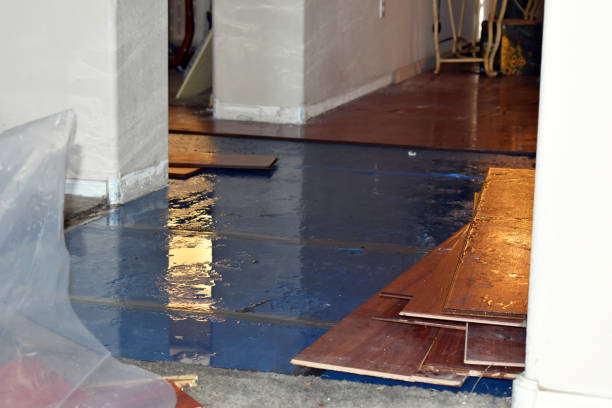 Professional Basement Flood Cleanup technician working in Clio, AL